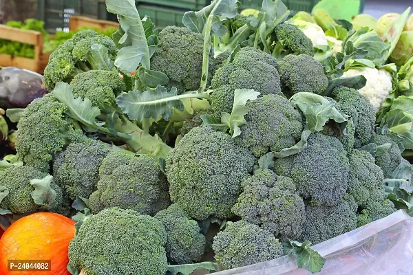 N.G.M.AGROCARE Broccoli Vegetable seed ( Pack Of 15 Broccoli Vegetable Seeds )-thumb3