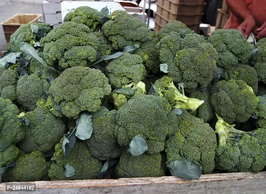 N.G.M.AGROCARE Broccoli Vegetable seed ( Pack Of 20 Broccoli Vegetable Seeds )-thumb0
