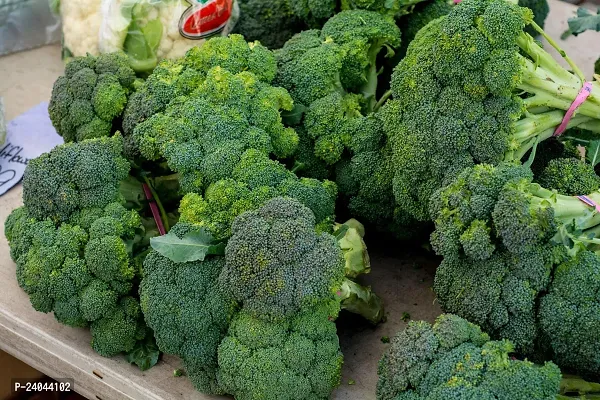 N.G.M.AGROCARE Broccoli Vegetable seed ( Pack Of 20 Broccoli Vegetable Seeds )-thumb4