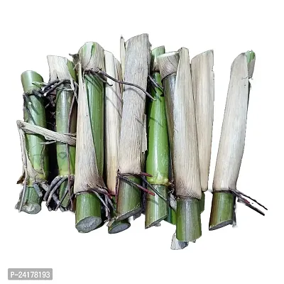 N.G.M. AGROCARE Bangladesh Ojana Hybrid/Water King Napier Multi-Cut Napier Grass Stick for Cultivate ( Pack Of 20 Grass Stick )