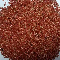 N.G.M.AGROCARE Red Napier Grass Seeds MP Chari Grass, Multi Cut Grass For Goat, Cow ( Pack of 500 Seeds )-thumb1