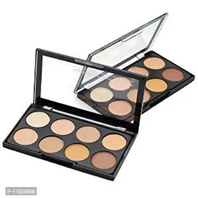 8 Shades Contour Concealer Palette and Highlighter